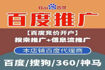 sem竞价托管代运营的实战技巧与案例